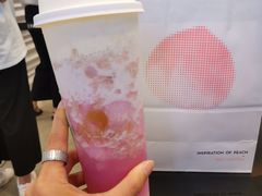 多肉粉荔-喜茶(深圳福田星河COCO Park店)