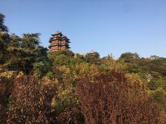 -阅江楼风景区
