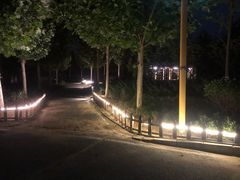 -中家鑫园温泉酒店鑫悦汤泉