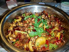 -食神又名厕所兔