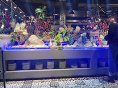 -格瑞欧海鲜自助烤肉火锅(光彩店)