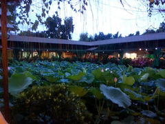 android_upload_pic-荷香居(洞企石路店)