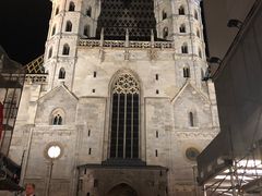 -斯蒂芬主教座堂(Stephansdom)