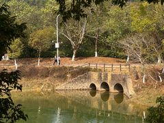 -凤岗南门山森林公园
