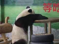 -临沂动植物园