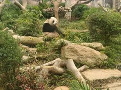 -石排湾郊野公园