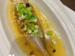 -新光酒家·河豚·海鲜·蟹料理(浦东店)