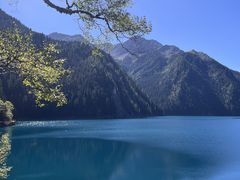 -九寨沟-树正沟