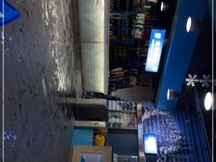 -乔波室内滑雪场