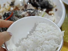 -鲤鱼塘农家山庄