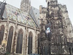 -斯蒂芬主教座堂(Stephansdom)