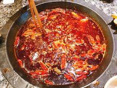 -蜀大侠火锅(建设路第五大道店)