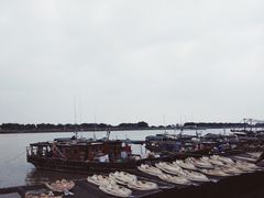 -大湾区中央湿地公园-十九涌