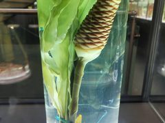 -广东中医药博物馆