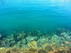 -东姑阿都拉曼海洋公园