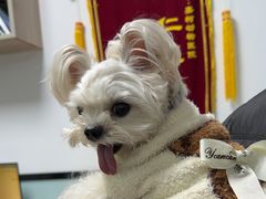 -嘉馨宠物医院·CT影像转诊·心脏科·犬猫全科诊疗中心(下沙大学城院区)