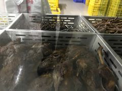 -金丹酱板鸭营业厅(紫缘路店)