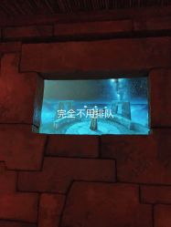 -翱翔飞越地平线