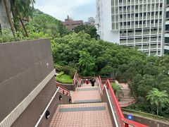 -香港大学