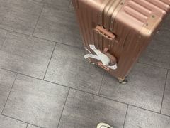 -中部国际机场