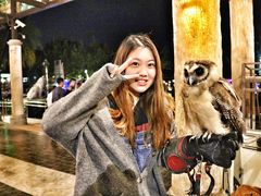-清迈夜间动物园