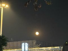 -泰顺江南春面馆