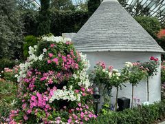 -植物学家的女儿(北马道巷店)