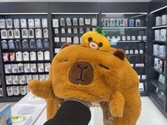 -Apple授权专营店(新业广场店)