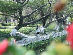 -广西大学(大学东路校区)