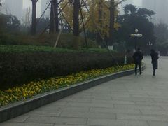 -龙头寺公园