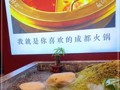 -麻路成都火锅(柏威年店)