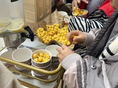 -比格比萨自助(潍坊新辰天地店)