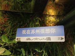 -山塘街