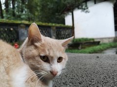 -成都杜甫草堂博物馆