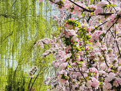 -元大都城垣遗址公园