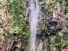 -磐安舞龙峡景区