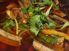 -高坎一品甲鱼庄(两河店)