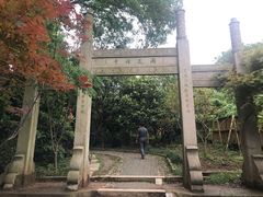 -雨花胜境