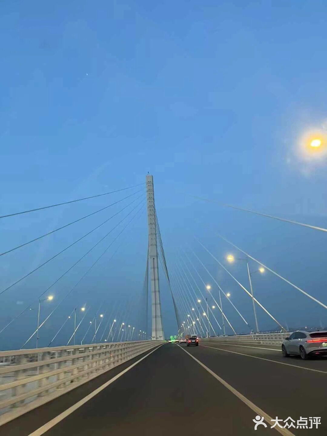 悠闲步伐，林中漫游