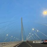 悠闲步伐，林中漫游