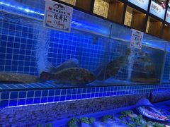 -俏东方·海味水饺·青岛菜(崂山店)