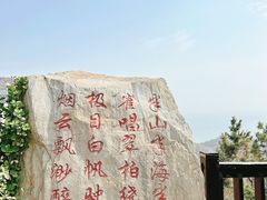 -怪坡茶馆