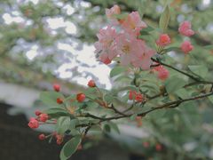 -南山植物园