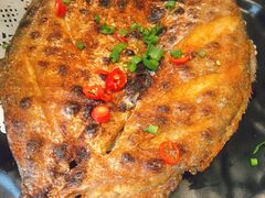 -九府羊·鲜羊火锅·烤串(新华路店)