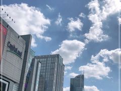 -BUS TOUR观光巴士