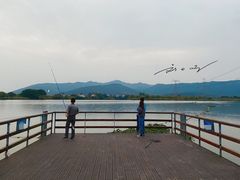 -长田漾湿地公园