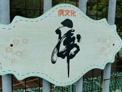 -深圳野生动物园