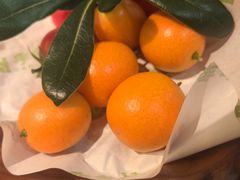 -季季山·云南野生菌火锅(上海首店)