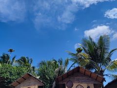-海南槟榔谷黎苗文化旅游区