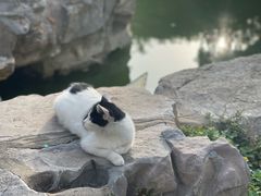 -李叔同故居纪念馆